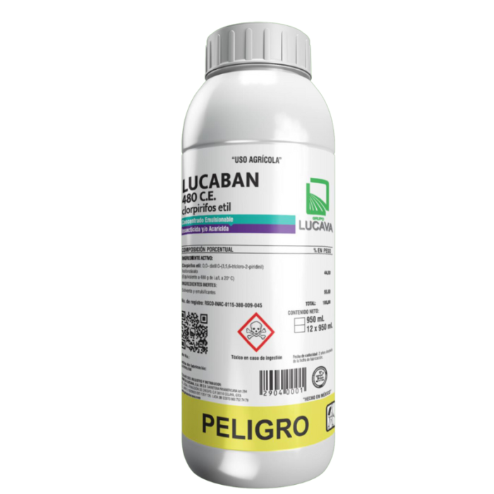 Lucaban 480 C.E.